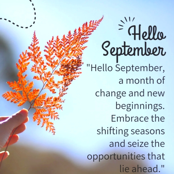 Minimum $13 - Picture 11 of 16